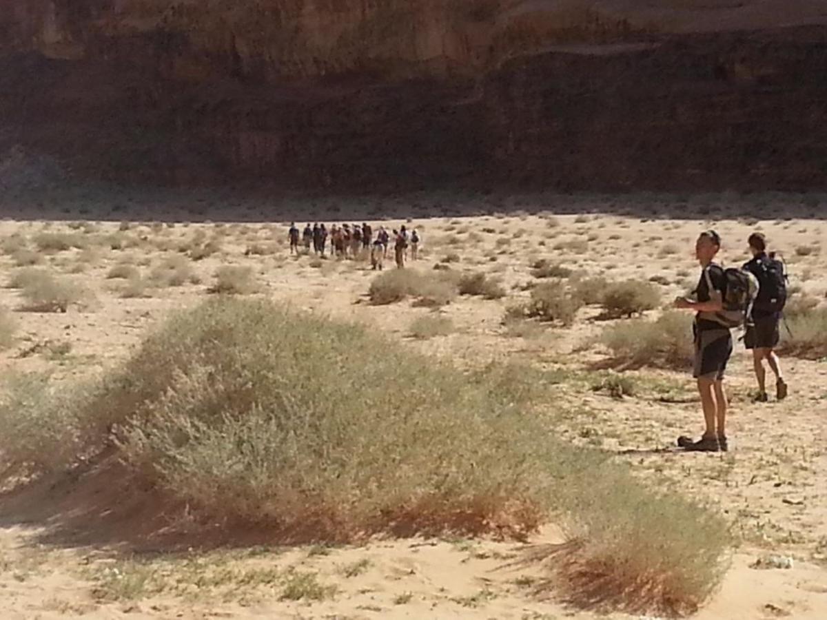 Zawaideh Desert Camp Hotel Wadi Rum Luaran gambar